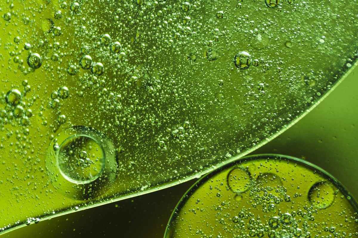 экстракты из лекарственных растений